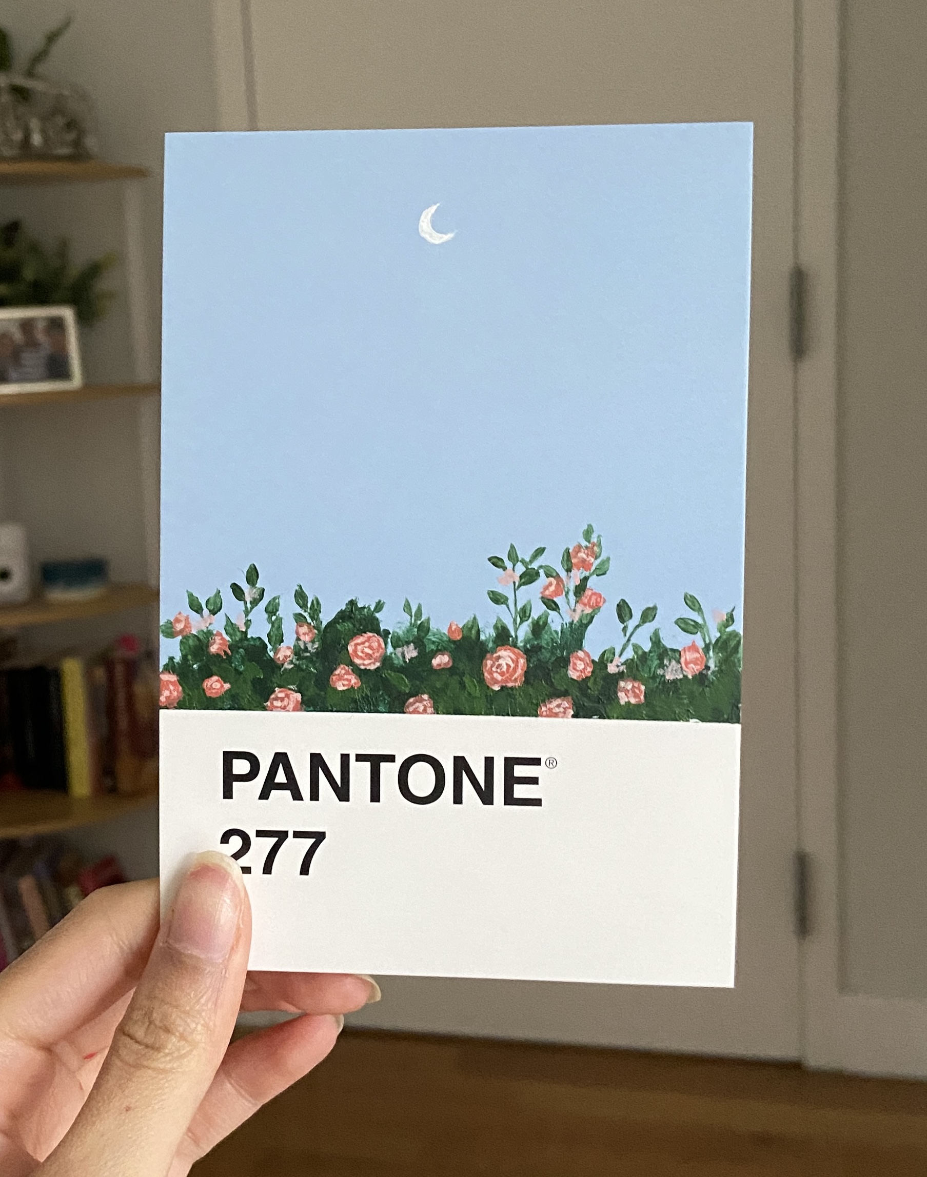pantone 277.JPG